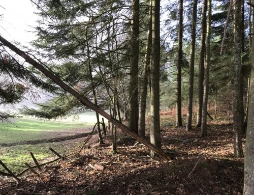 Time to build fences!