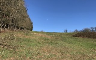 La Graviere - Blue Sky and Moon