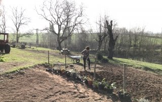 La Graviere - Frog Digging