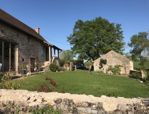 New Lawn Looking Good