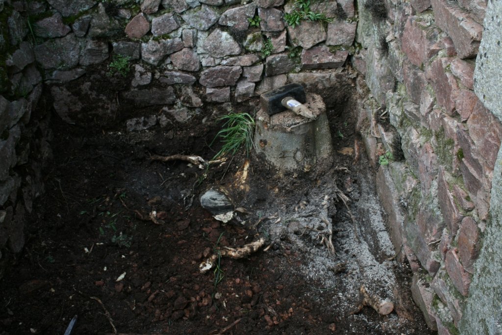 La Graviere – Tree Stump La Graviere - Tree Stump